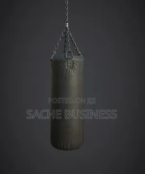 25 Kg Punching Bag