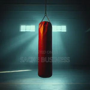 Striker Sport Punching