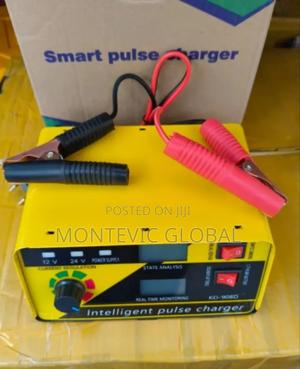 Intelligent Smart Battery Charger 12v/24v - thumbnail 2
