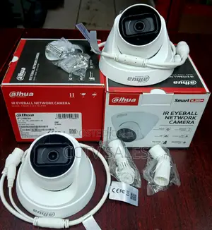 Wide Range Dynamic Eyeball 2mp Ip 2.8mm Dome Camera