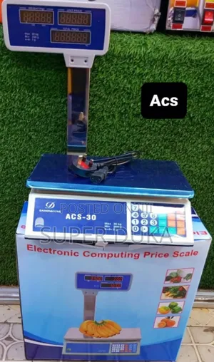 Acs-30 Electronic Computing Price Scale.