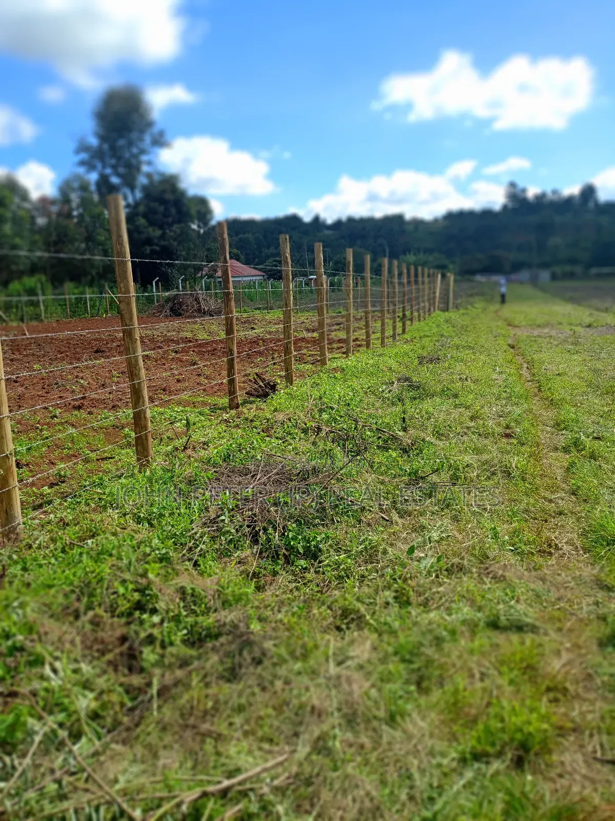 Rironi Plots