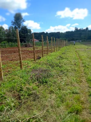 Rironi Plots