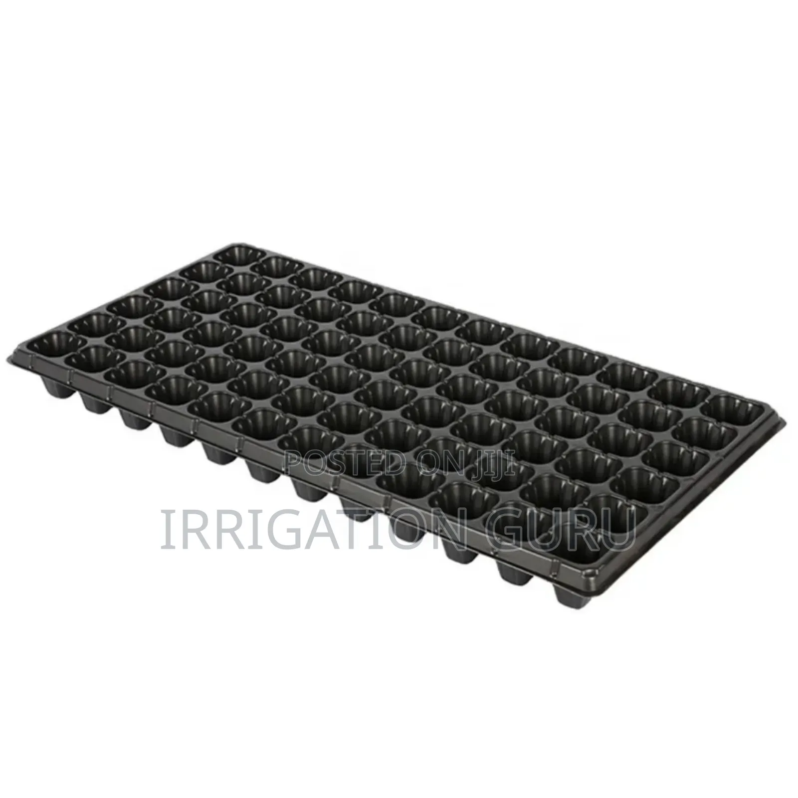 Seedlings Trays