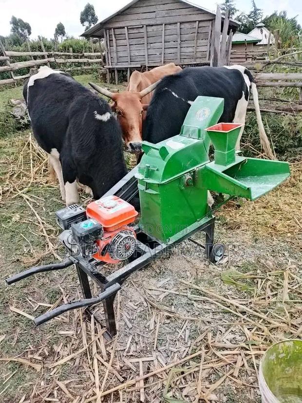 Silage Chopper Powered by Petrol Engine - main view