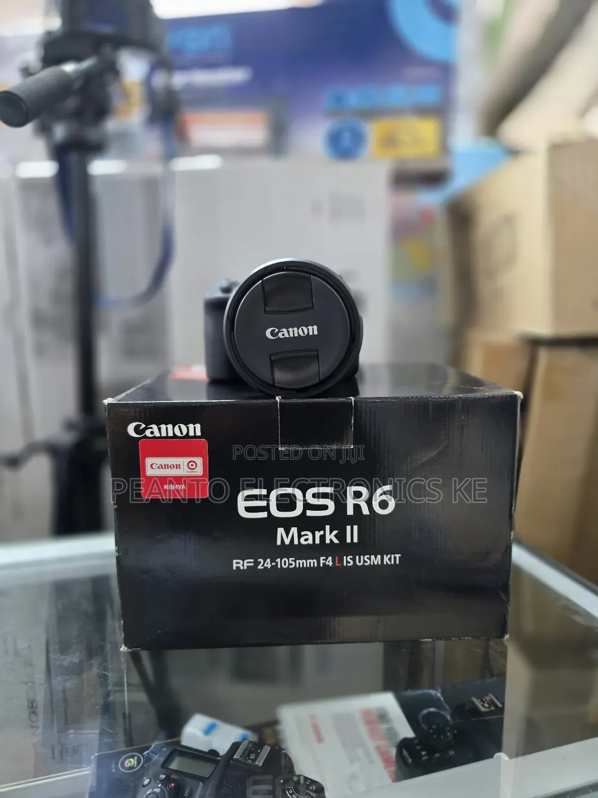 Canon Eos R6 Mark Ii Mirrorless Camera 24-105mm F/4 Lens