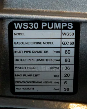 Honda Gx160, 3 Inches Petrol Sewage Pump Heavy Duty
