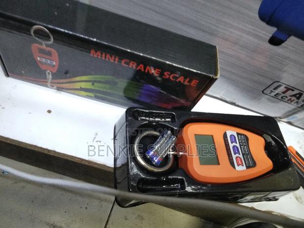 200kg Mini Crane / Commercial 200kg Mini Craje