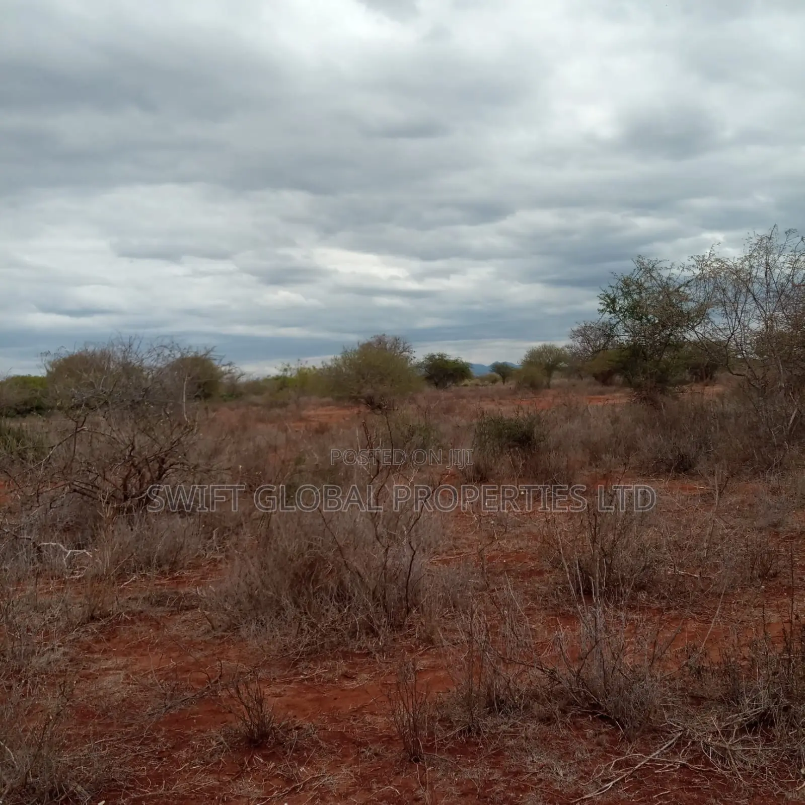 Over 2,000 Acres Are Available for Sale in Emali Town