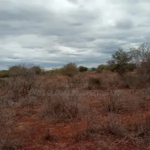 Over 2,000 Acres Are Available for Sale in Emali Town