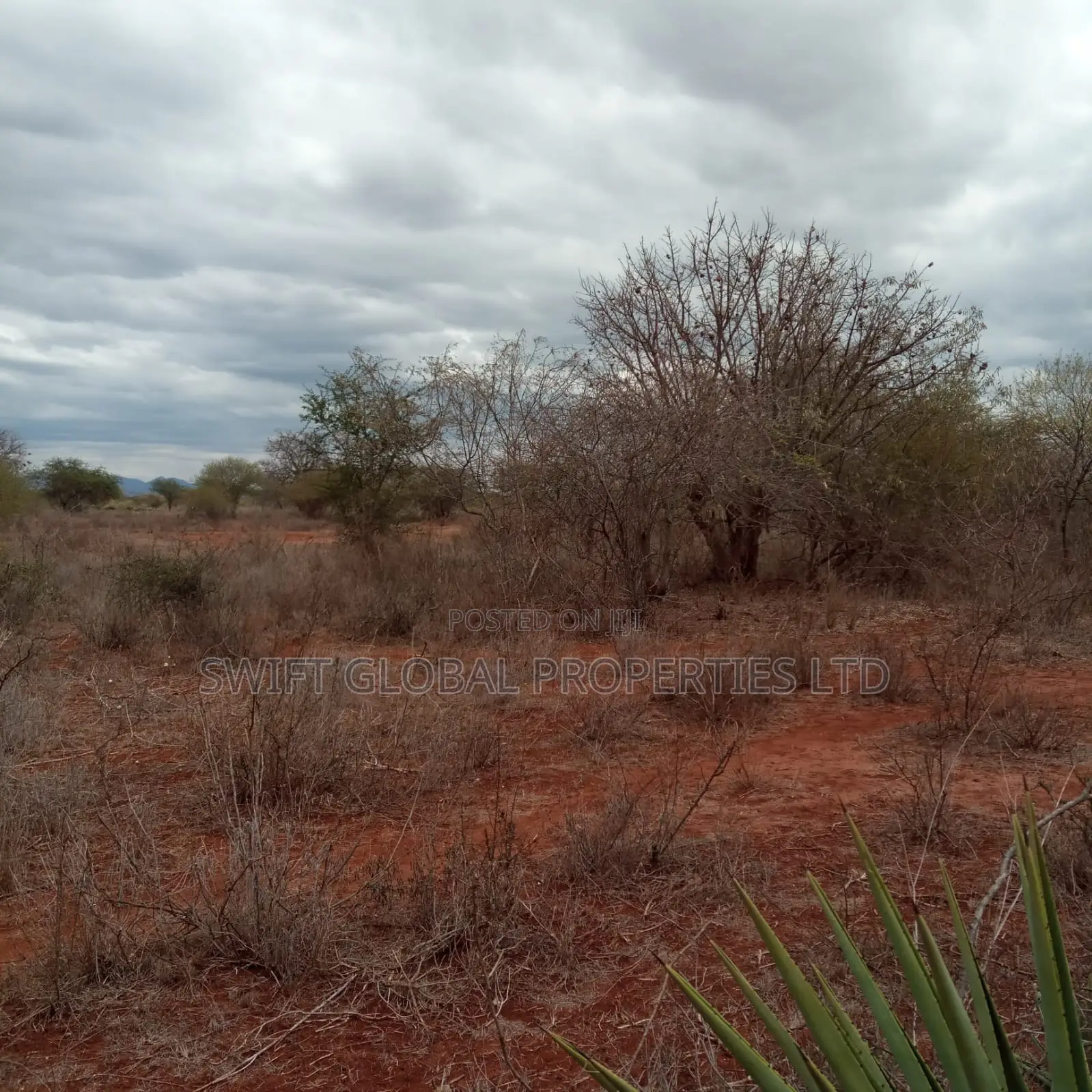 Over 2,000 Acres Are Available for Sale in Emali Town