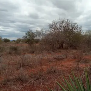 Over 2,000 Acres Are Available for Sale in Emali Town