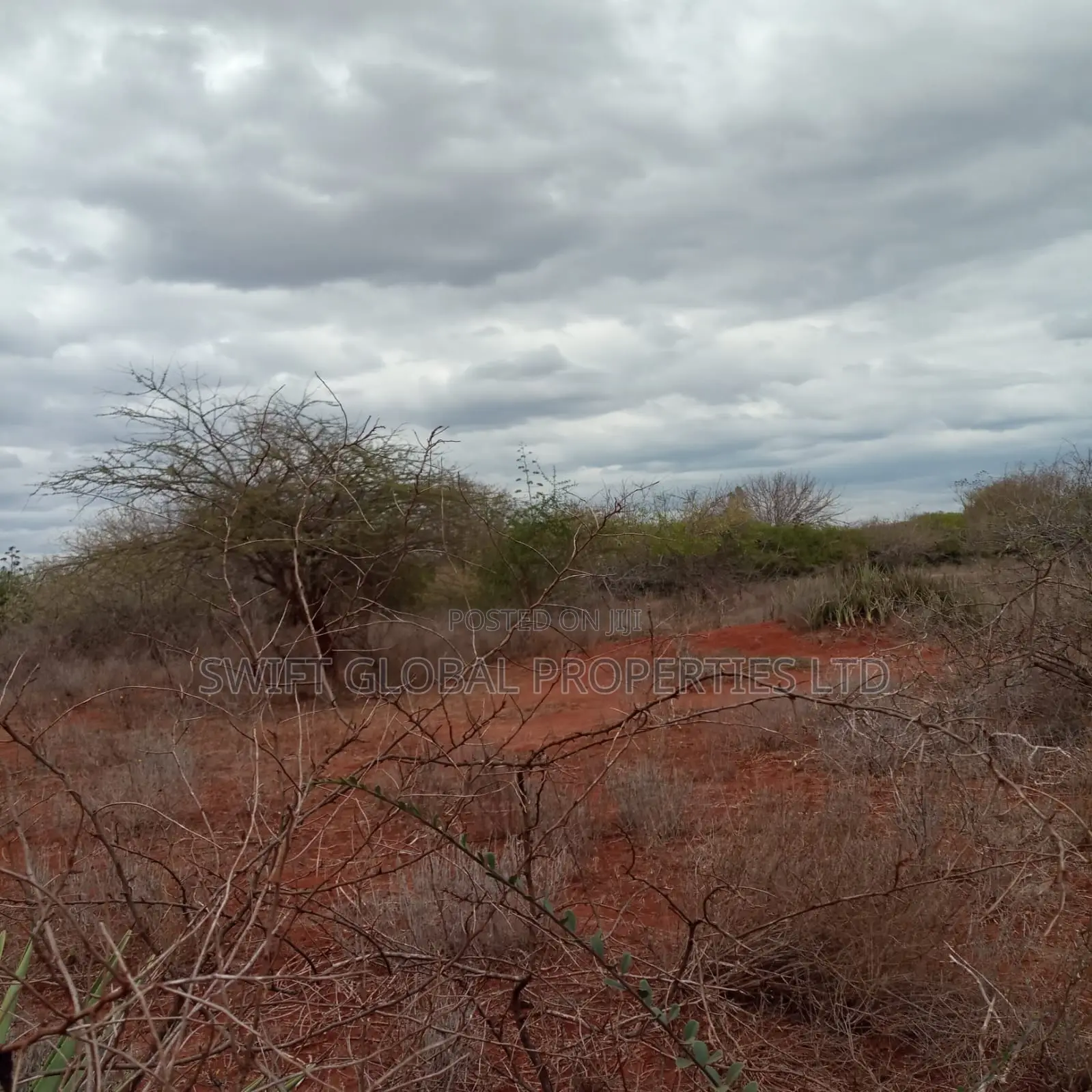 Over 2,000 Acres Are Available for Sale in Emali Town