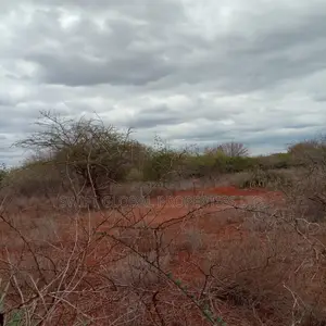 Over 2,000 Acres Are Available for Sale in Emali Town