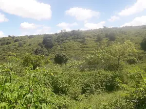 1,000 Acres Touching Mombasa Road in Emali Town Is for Sale