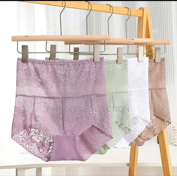 Plus Size Ladies Panties - thumbnail 2