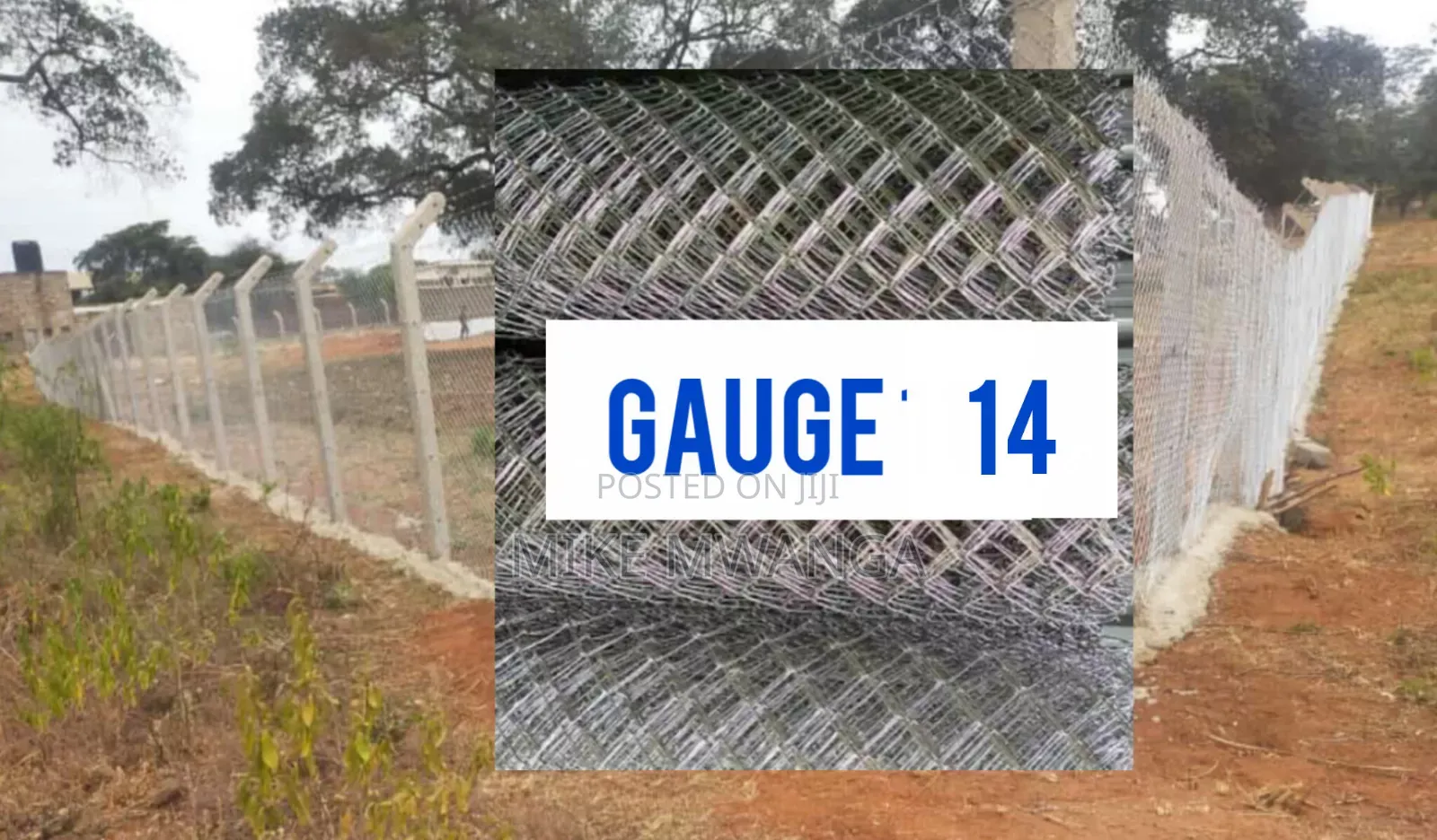 Chain Link, 50x50 14gauge, 6ft Heigh