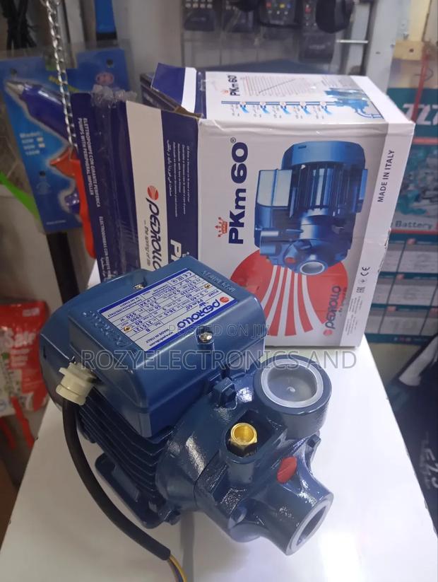 Pedrollo PKM 60, a 0.5 Hp (0.37 Kw) Mono-Phase Pump.