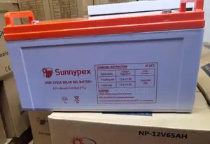 Sunnypex 12v 100ah Deep Cycle Battery