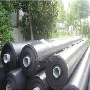 Lining Damnliners