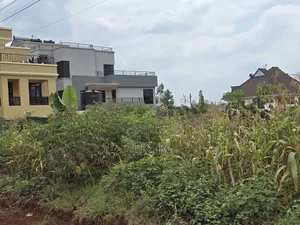 50x100 Residential Plot in Kenyatta Rd,Croton