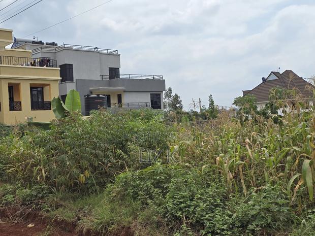 50x100 Residential Plot in Kenyatta Rd,Croton - thumbnail 2