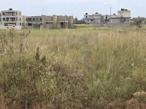 50x100 Residential Plot in Kenyatta Rd,Croton