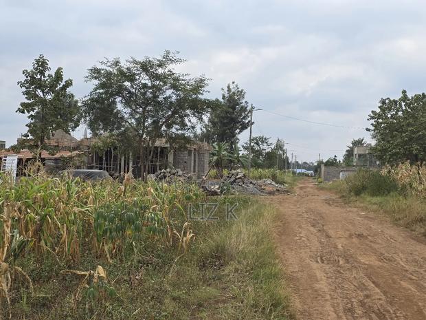50x100 Residential Plot in Kenyatta Rd,Croton - thumbnail 4
