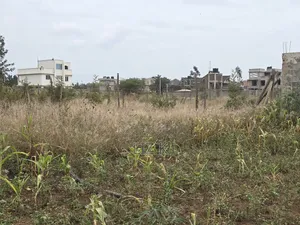 50x100 Residential Plot in Kenyatta Rd,Croton