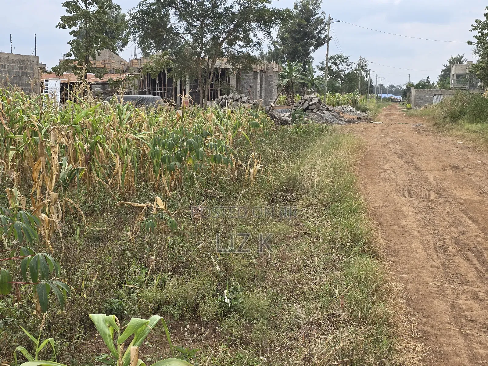 50x100 Residential Plot in Kenyatta Rd,Croton