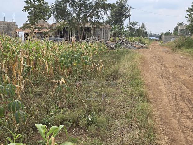 50x100 Residential Plot in Kenyatta Rd,Croton - thumbnail 6