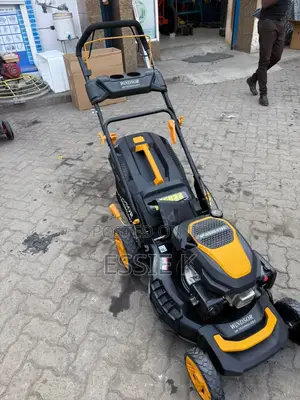 Gasoline Lawn Mower 5.5hp