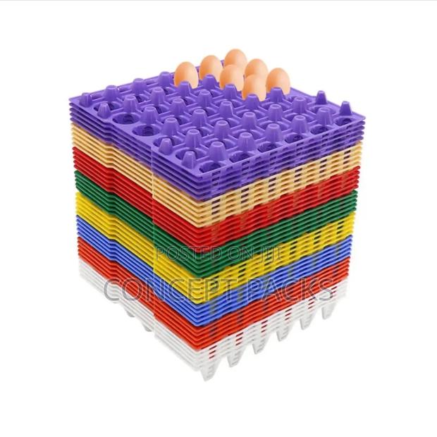 30pc Egg Tray Plastic. - main view