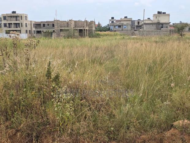 Croton Plot on Sale - thumbnail 2