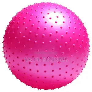 Massage Spiked Yoga Ball