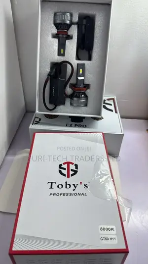 Tobys  Bulbs Available