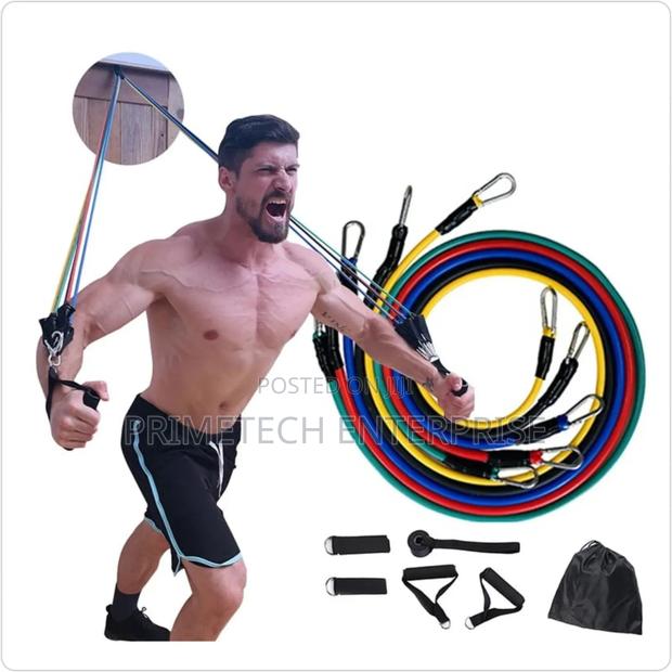 11pc Gym Ropes -Esj - main view