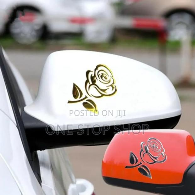 Car Body 2pcs 3d Body Stickers in Gold or Silver