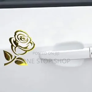 Car Body 2pcs 3d Body Stickers in Gold or Silver