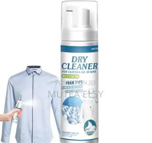 Dry Cleaning Spry - main view