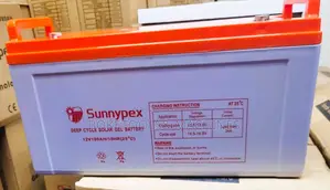 Sunnypex 12v 100ah Deep Cycle Battery