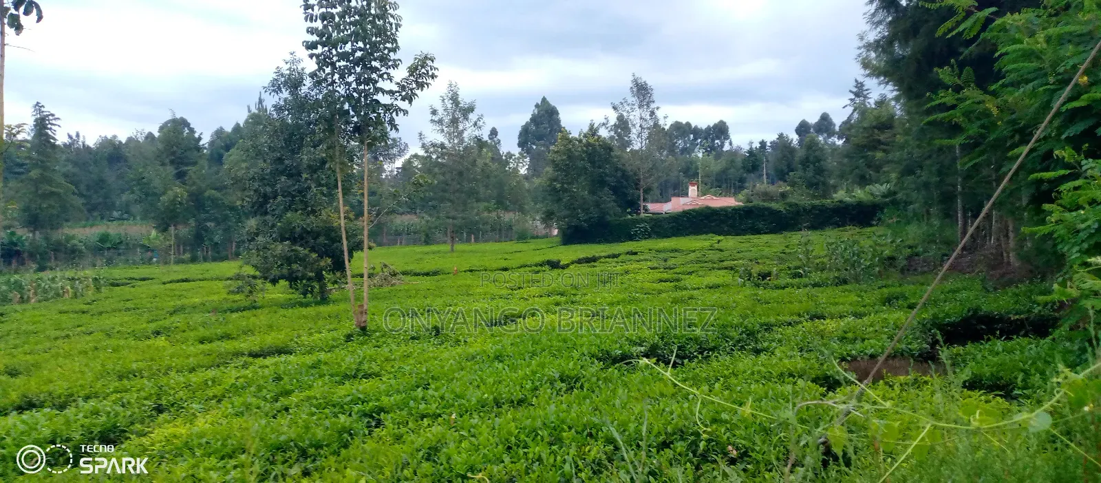 Plot on Sale