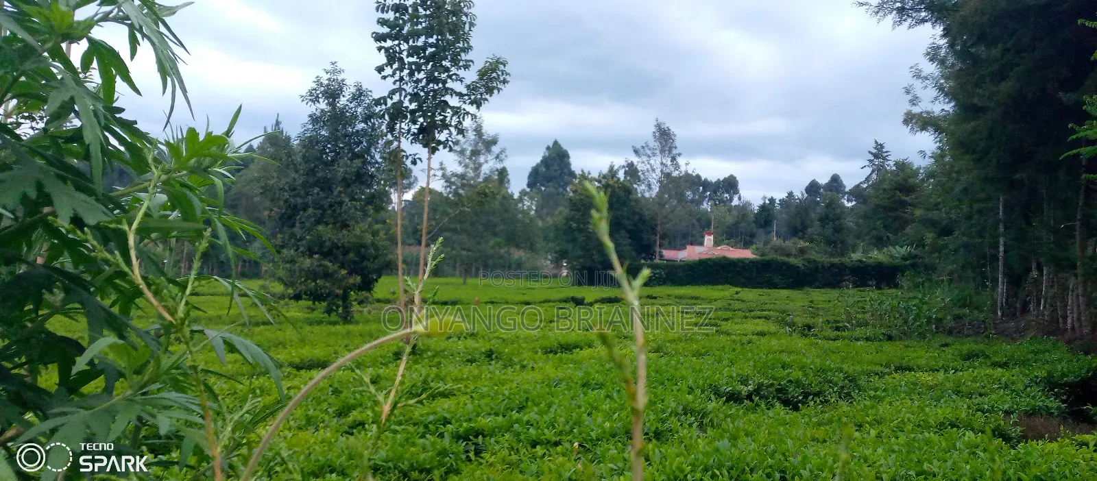 Plot on Sale