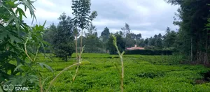 Plot on Sale