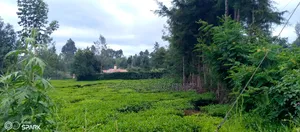 Plot on Sale