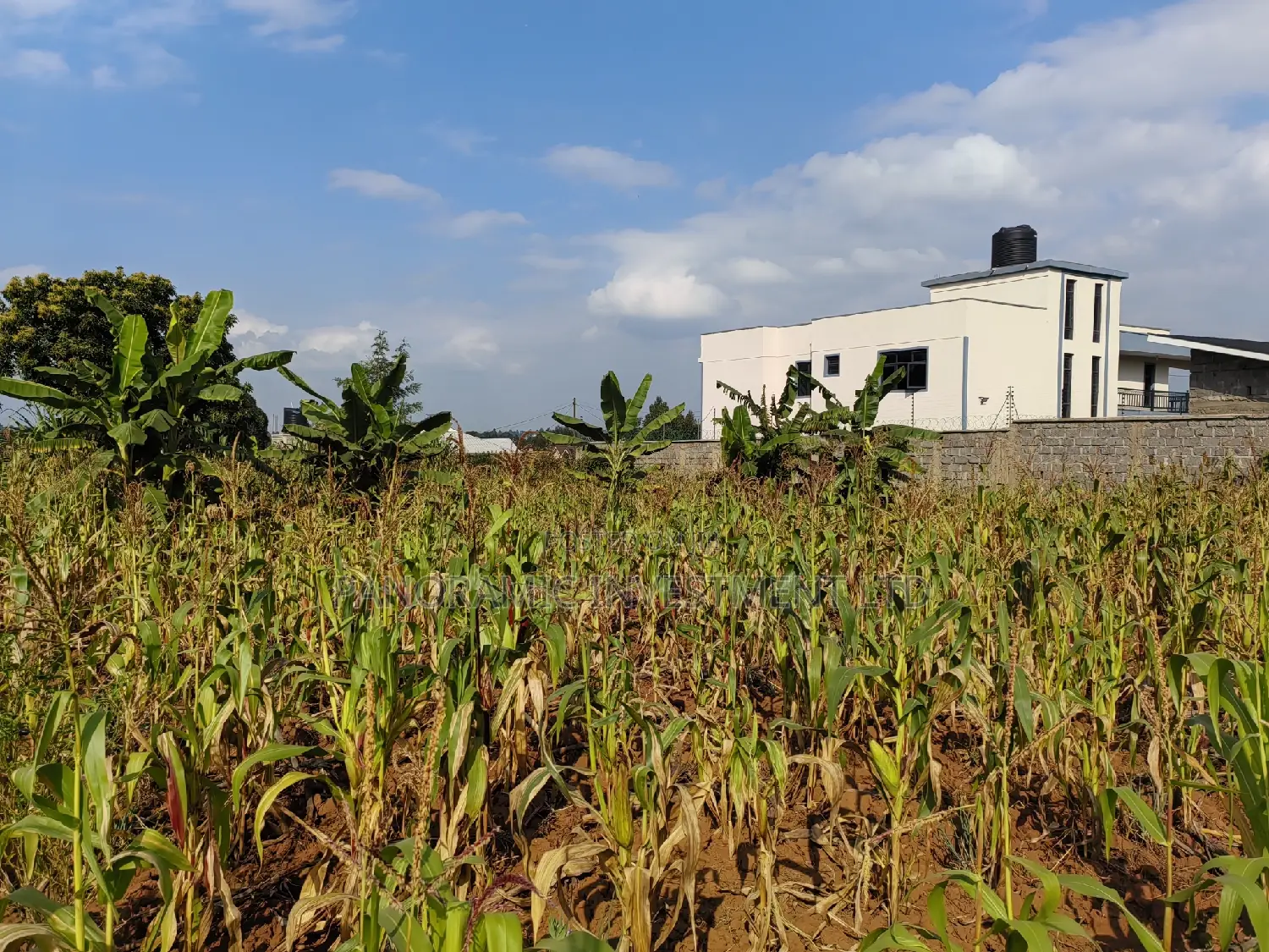 100 By100 Plot for Sale in Lusegetti Kikuyu Kiambu.