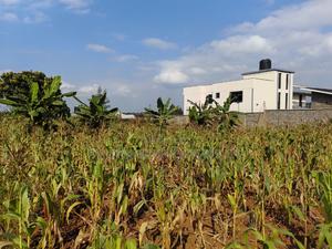 50by 100 Plot for Sale in Lusegetti Kikuyu Kiambu. - thumbnail 2