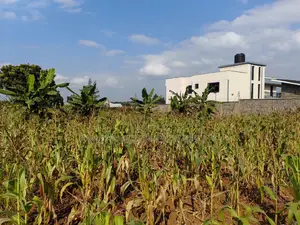 100 By100 Plot for Sale in Lusegetti Kikuyu Kiambu.