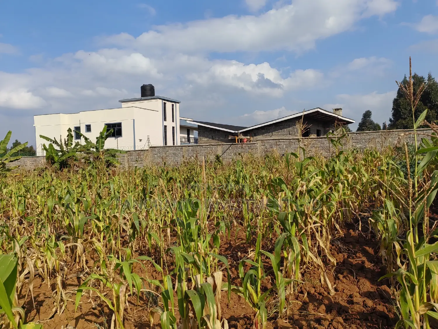 100 By100 Plot for Sale in Lusegetti Kikuyu Kiambu.