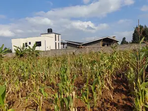 100 By100 Plot for Sale in Lusegetti Kikuyu Kiambu.
